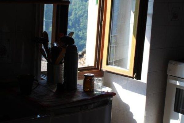 IMG_0291